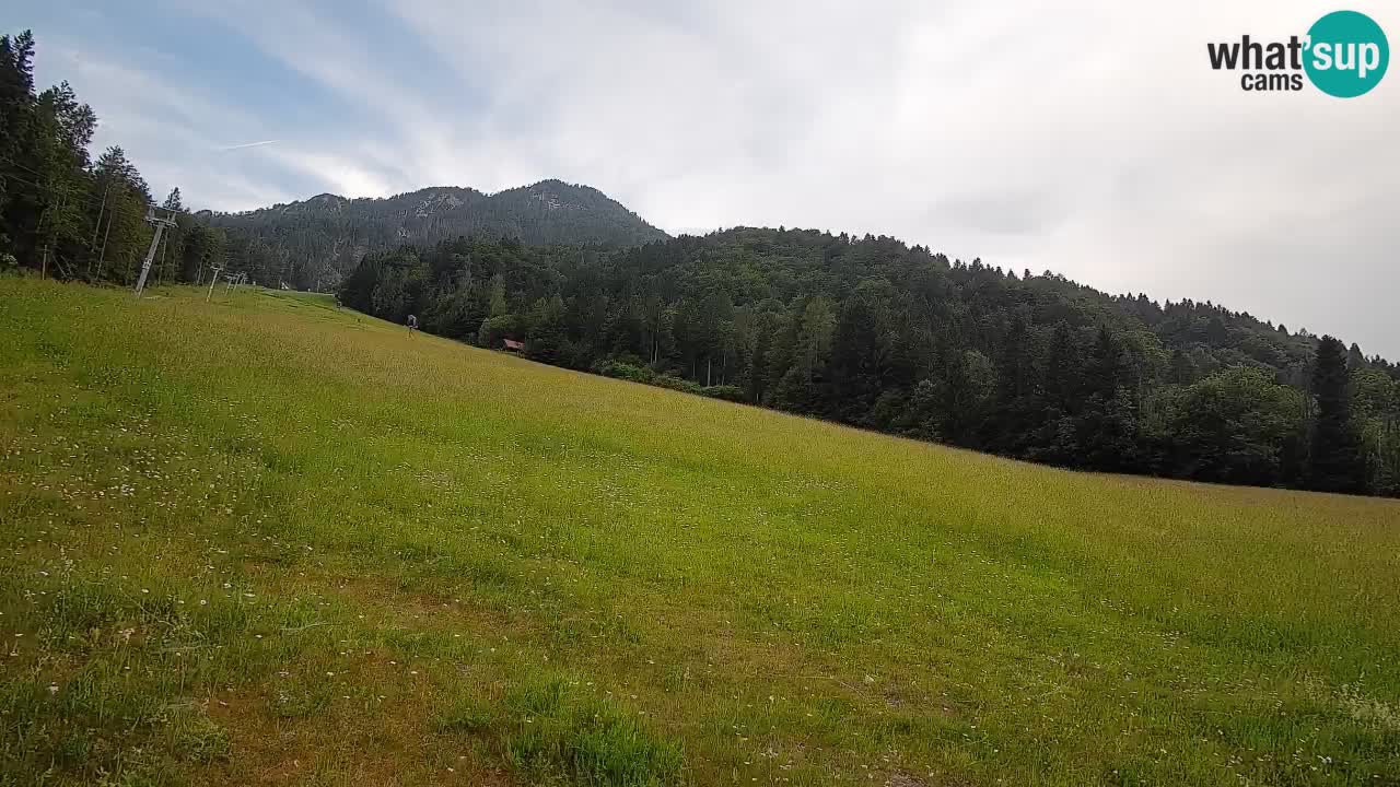 Ski Kranjska Gora | Brsnina