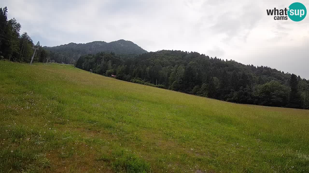 Ski Kranjska Gora | Brsnina