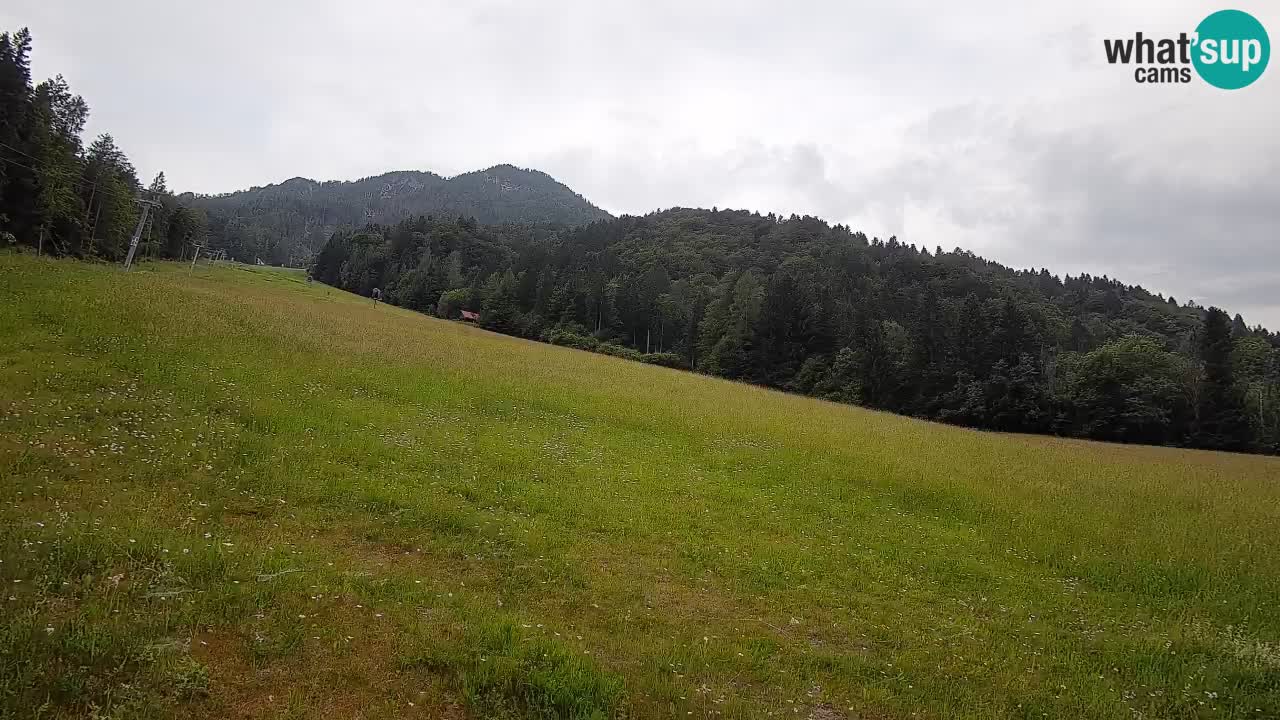 Ski Kranjska Gora | Brsnina