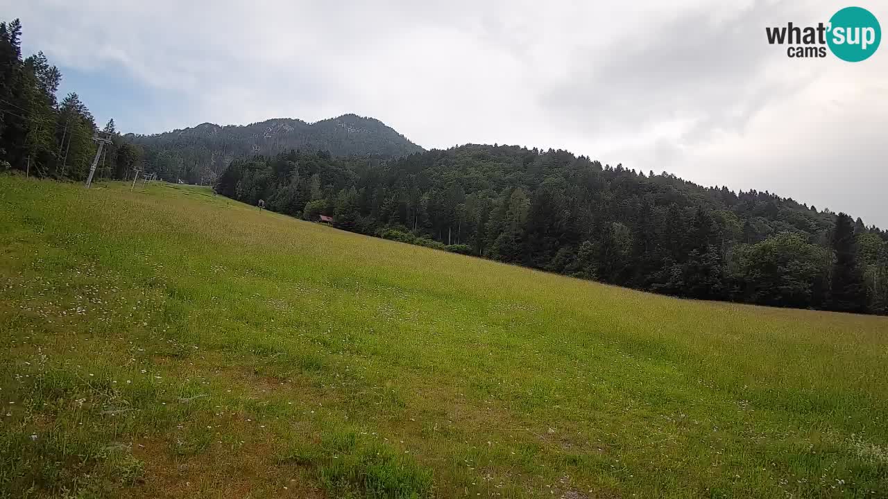 Ski Kranjska Gora | Brsnina