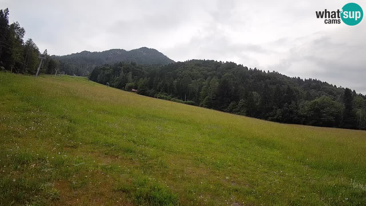Ski Kranjska Gora | Brsnina