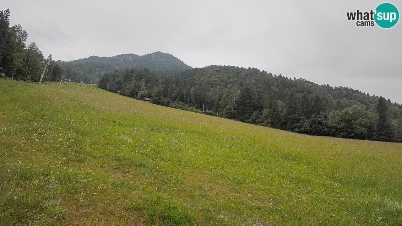 Ski Kranjska Gora | Brsnina