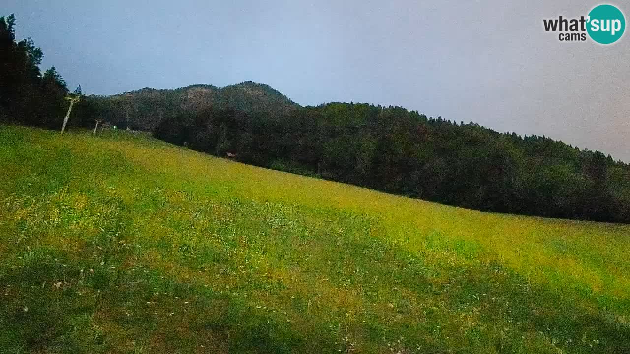 Ski Kranjska Gora | Brsnina