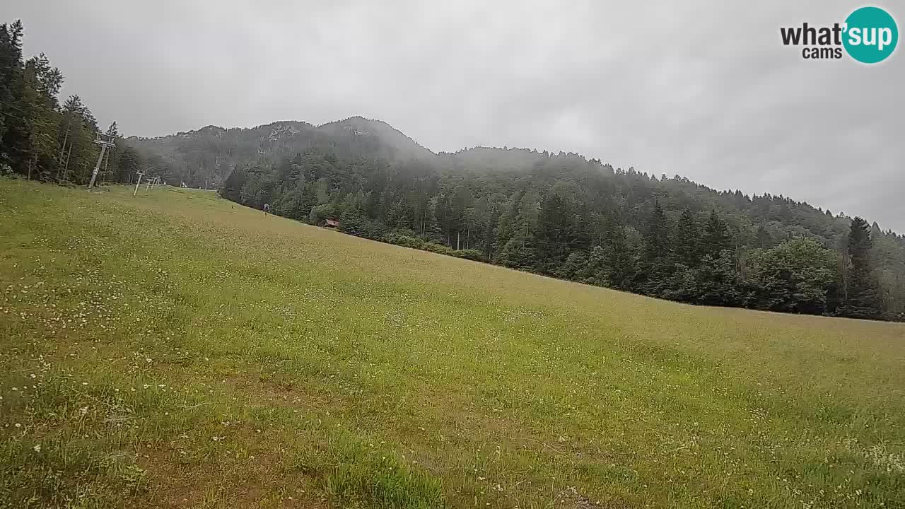Ski Kranjska Gora | Brsnina