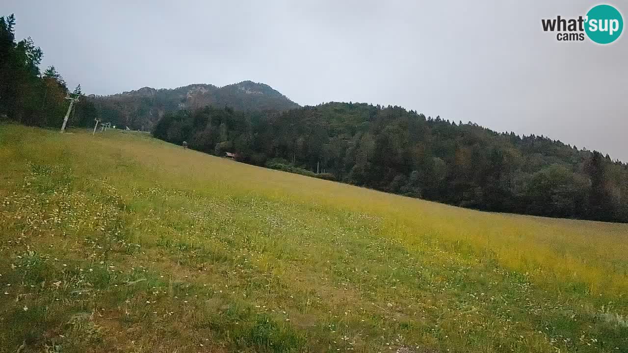 Ski Kranjska Gora | Brsnina