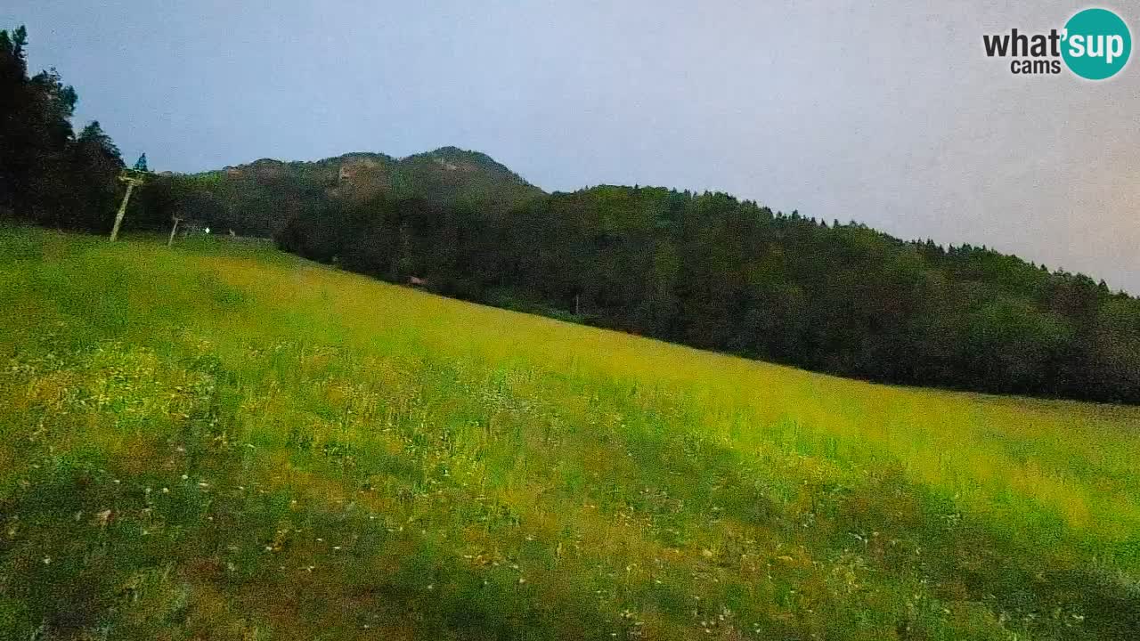 Comprensorio sciistico Kranjska Gora | Brsnina
