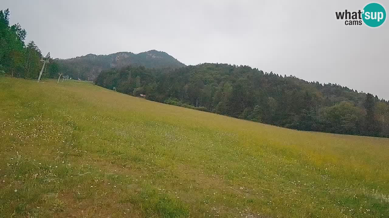 RTC Skigebiet Kranjska Gora | Brsnina