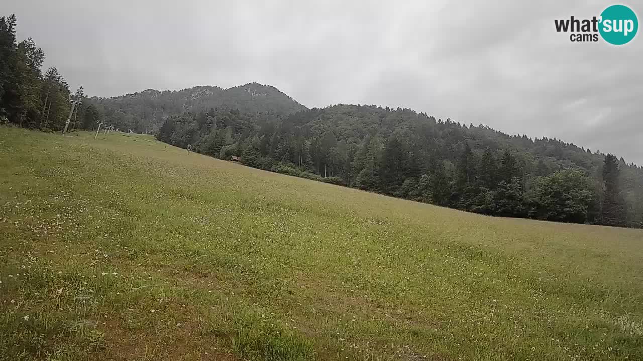 RTC Kranjska Gora | Brsnina