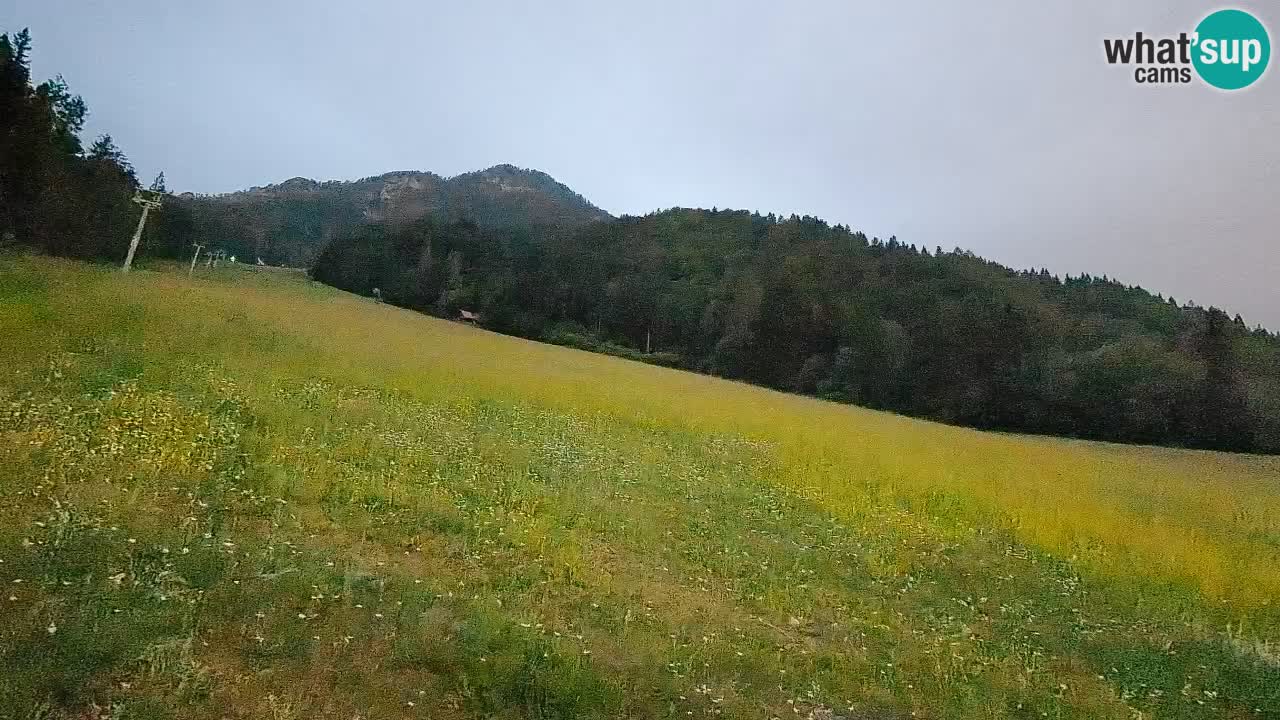 Comprensorio sciistico Kranjska Gora | Brsnina