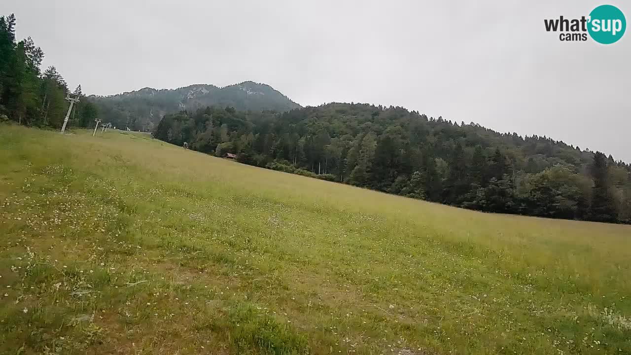 RTC Skigebiet Kranjska Gora | Brsnina