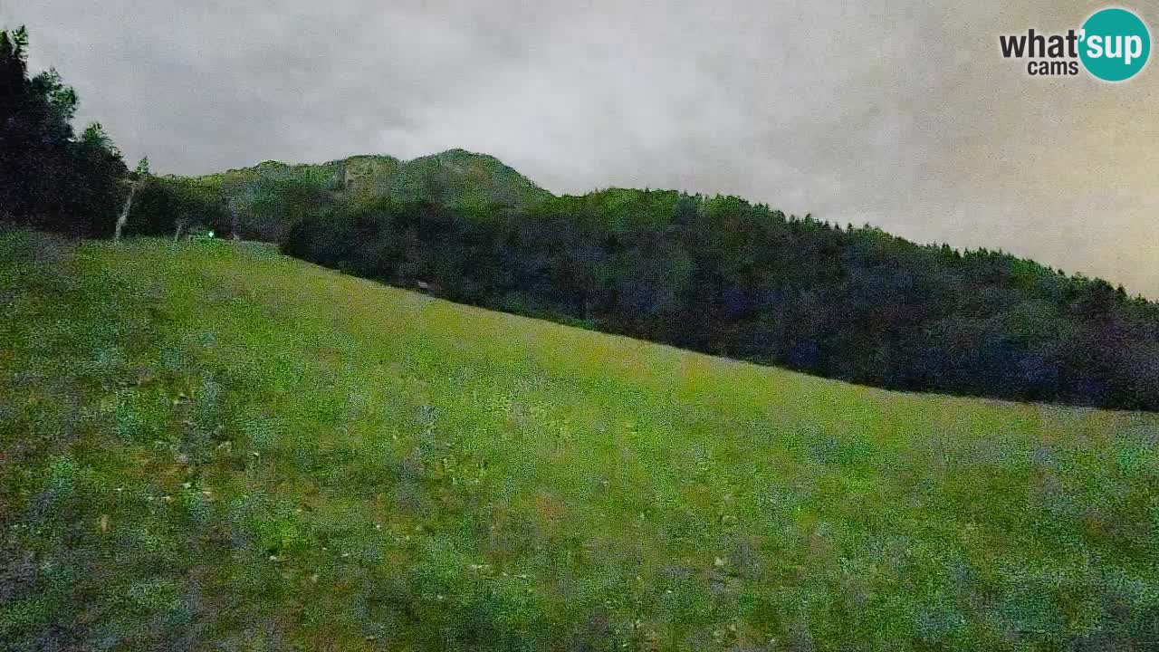 Ski Kranjska Gora | Brsnina