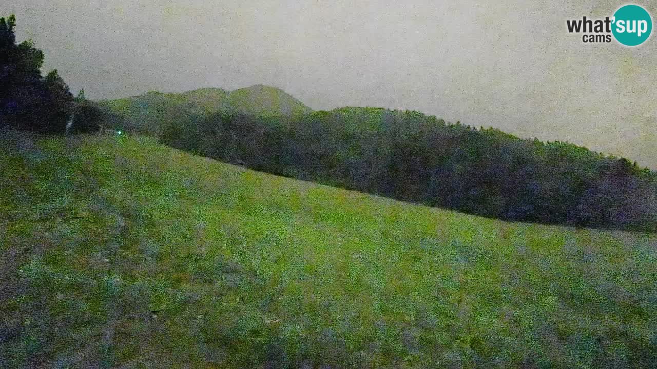 Esquí Kranjska Gora | Brsnina