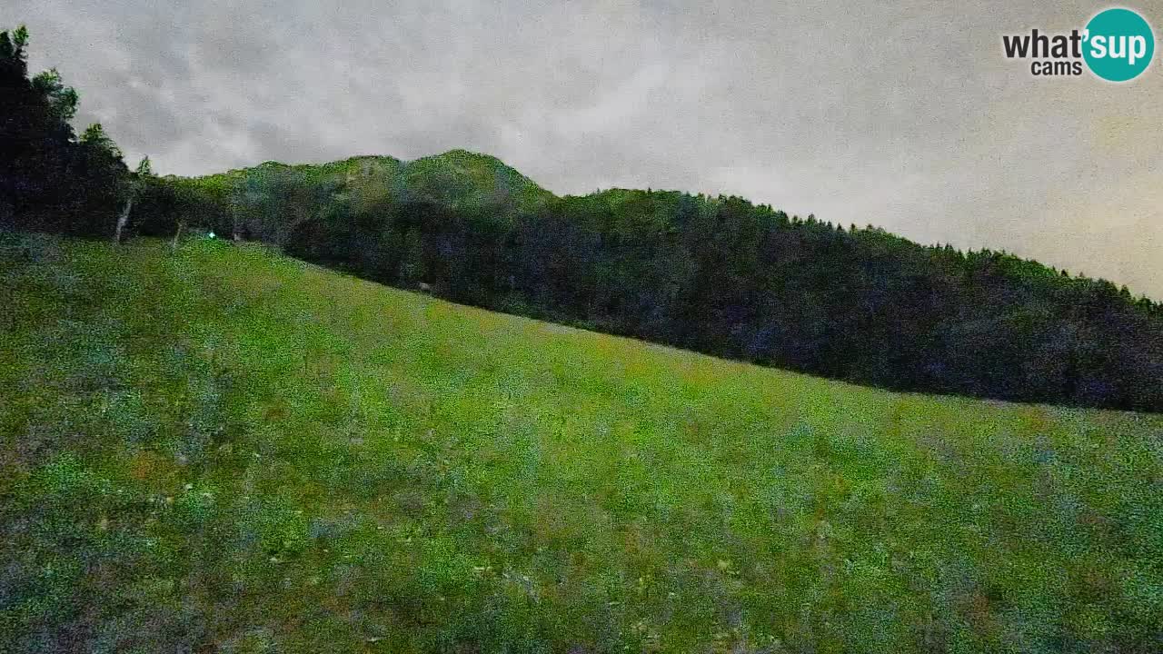 Esquí Kranjska Gora | Brsnina