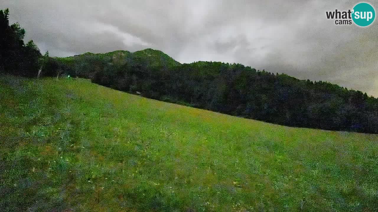 Comprensorio sciistico Kranjska Gora | Brsnina