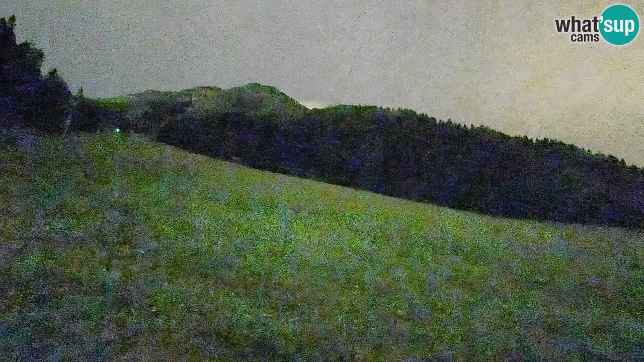 Comprensorio sciistico Kranjska Gora | Brsnina