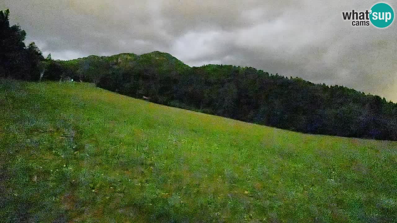 Comprensorio sciistico Kranjska Gora | Brsnina