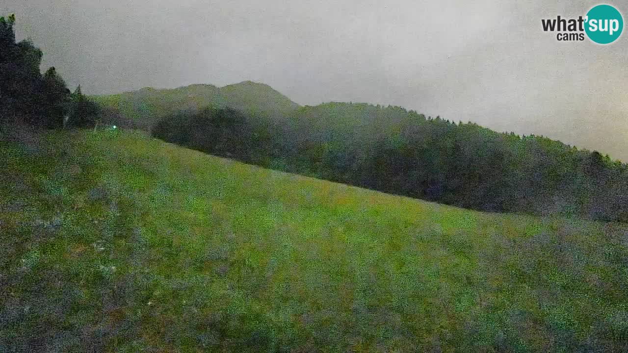 Comprensorio sciistico Kranjska Gora | Brsnina