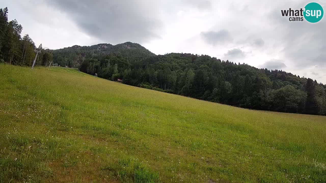 Ski Kranjska Gora | Brsnina