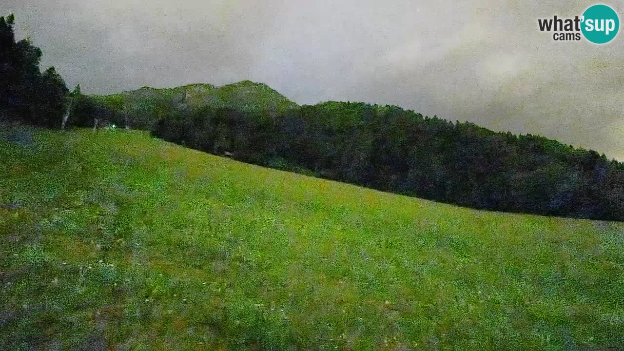 Kranjska Gora Station de ski | Brsnina