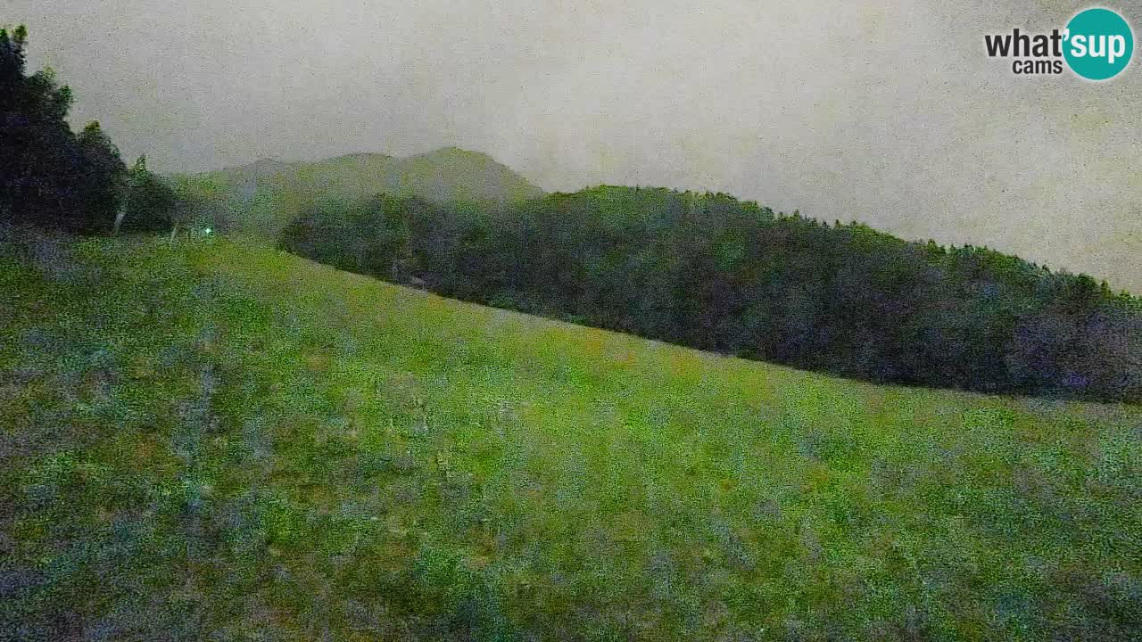 Comprensorio sciistico Kranjska Gora | Brsnina