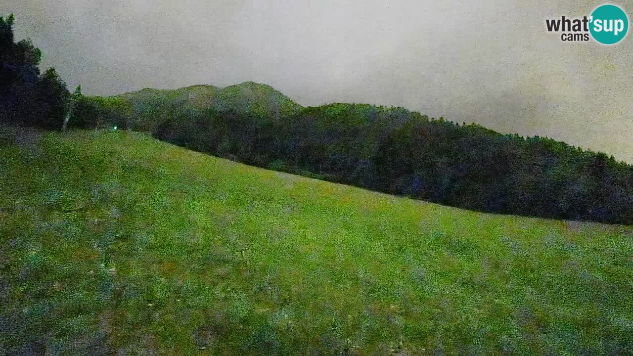 RTC Skigebiet Kranjska Gora | Brsnina
