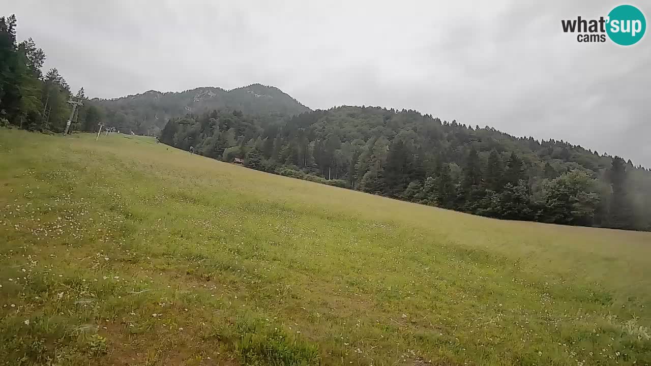 Comprensorio sciistico Kranjska Gora | Brsnina