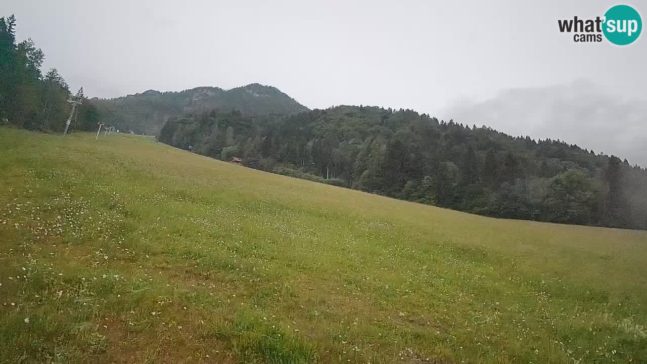 Kranjska Gora Station de ski | Brsnina