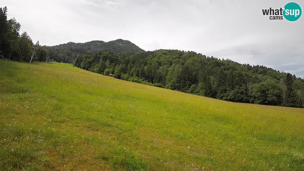 Kranjska Gora Station de ski | Brsnina
