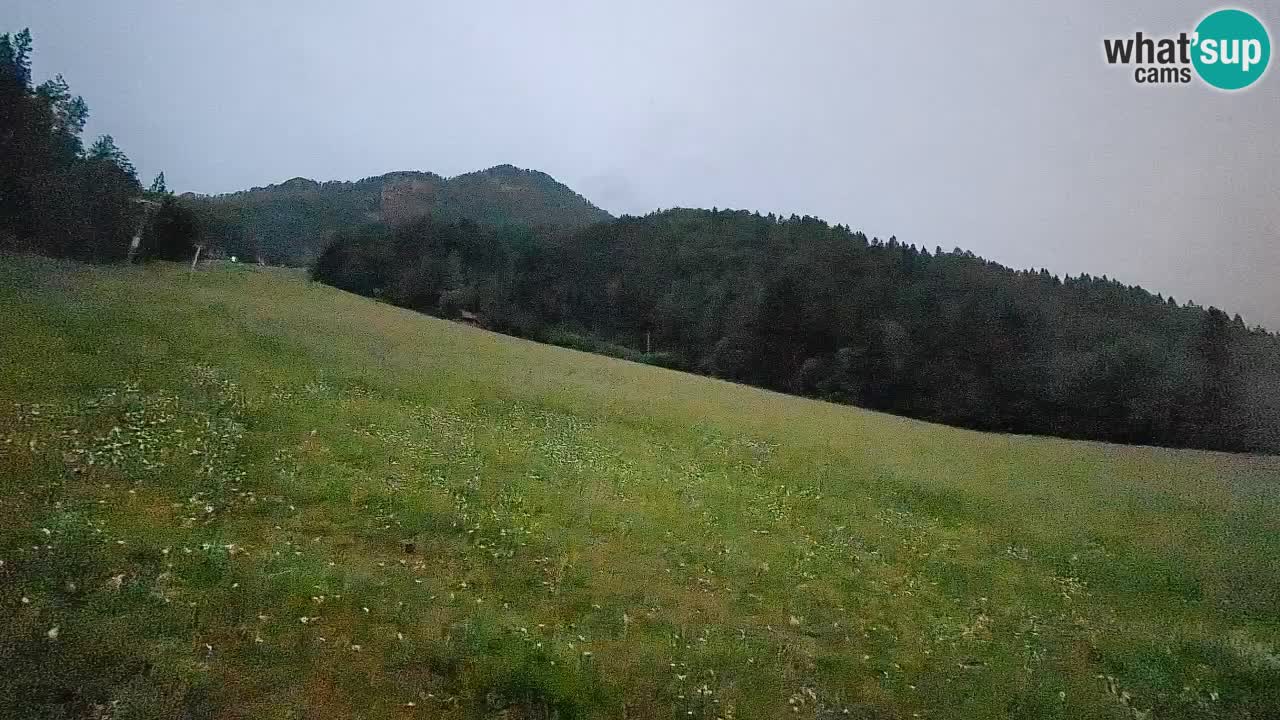 Comprensorio sciistico Kranjska Gora | Brsnina