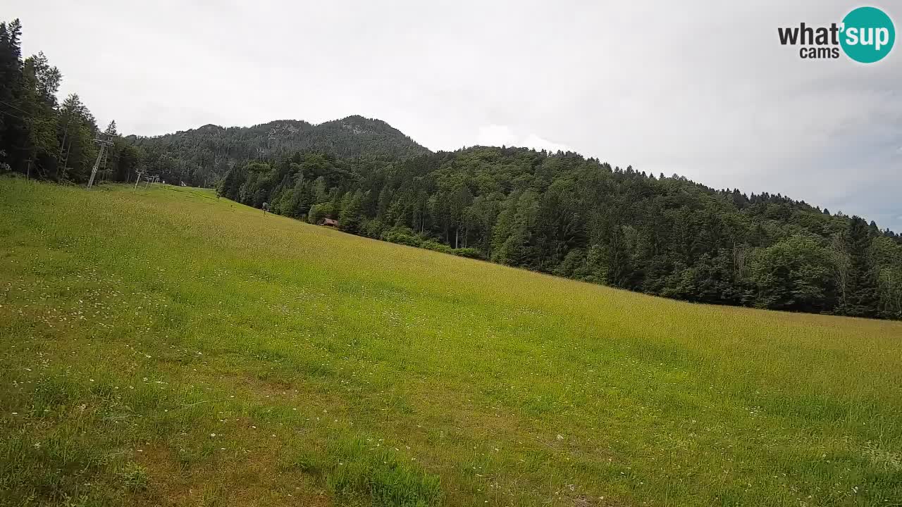 RTC Skigebiet Kranjska Gora | Brsnina