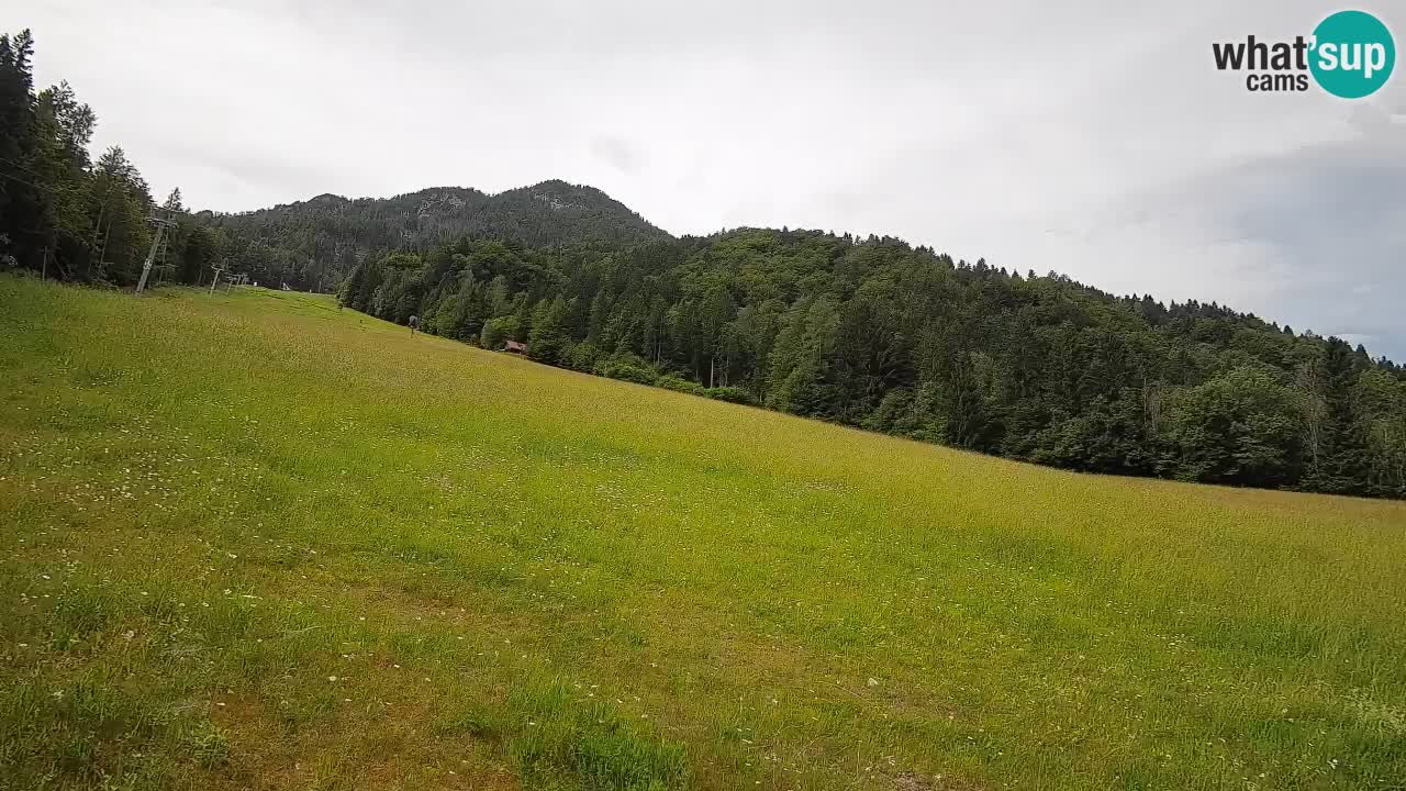 RTC Kranjska Gora | Brsnina