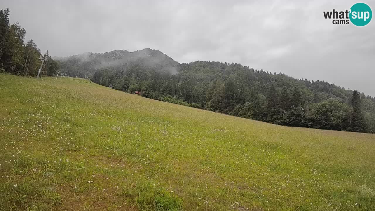 RTC Kranjska Gora | Brsnina
