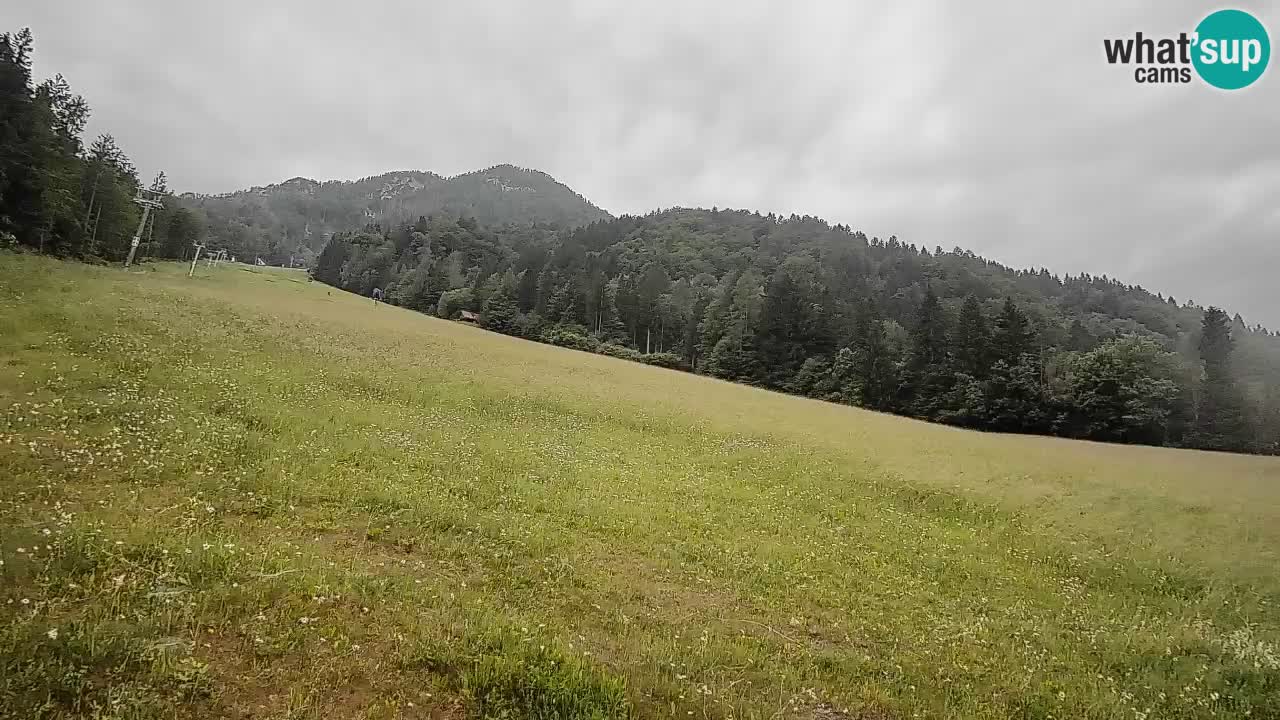 RTC Kranjska Gora | Brsnina