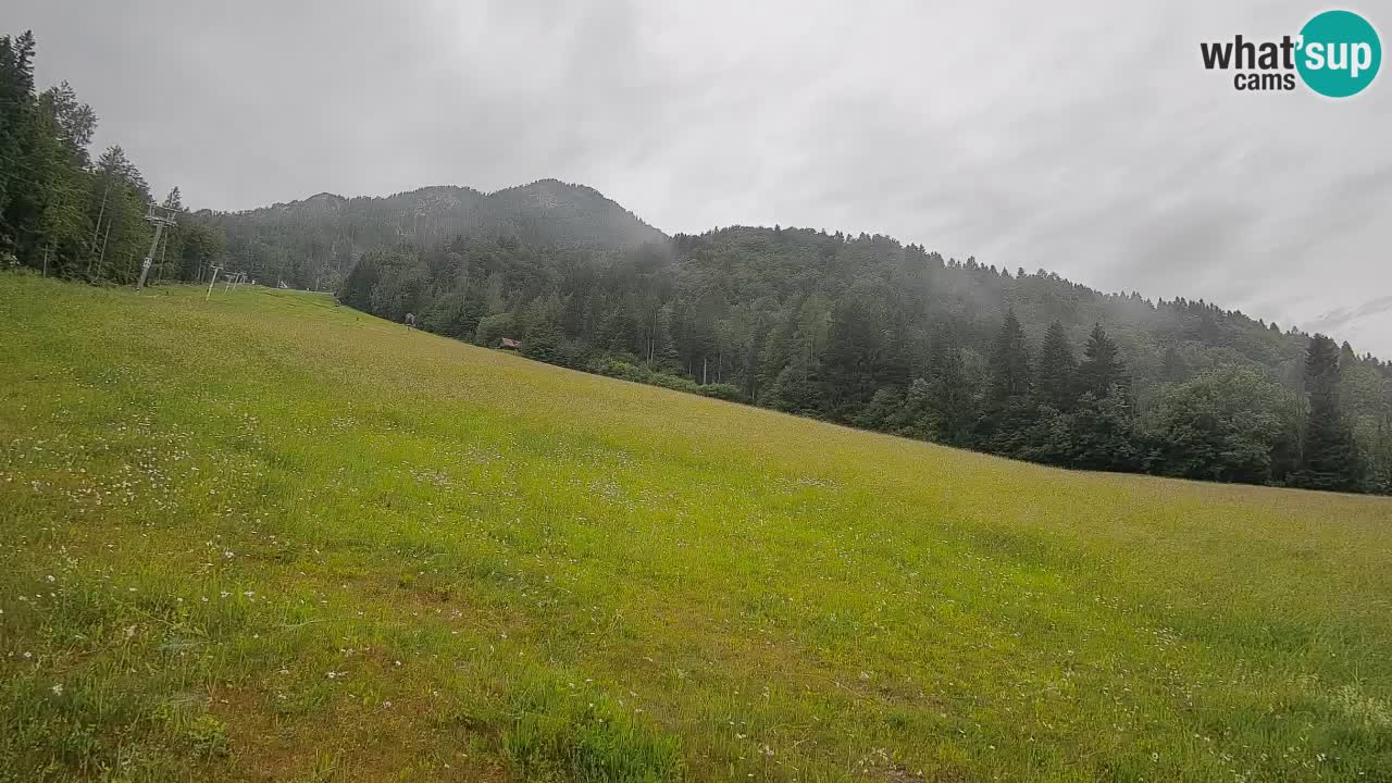 RTC Skigebiet Kranjska Gora | Brsnina