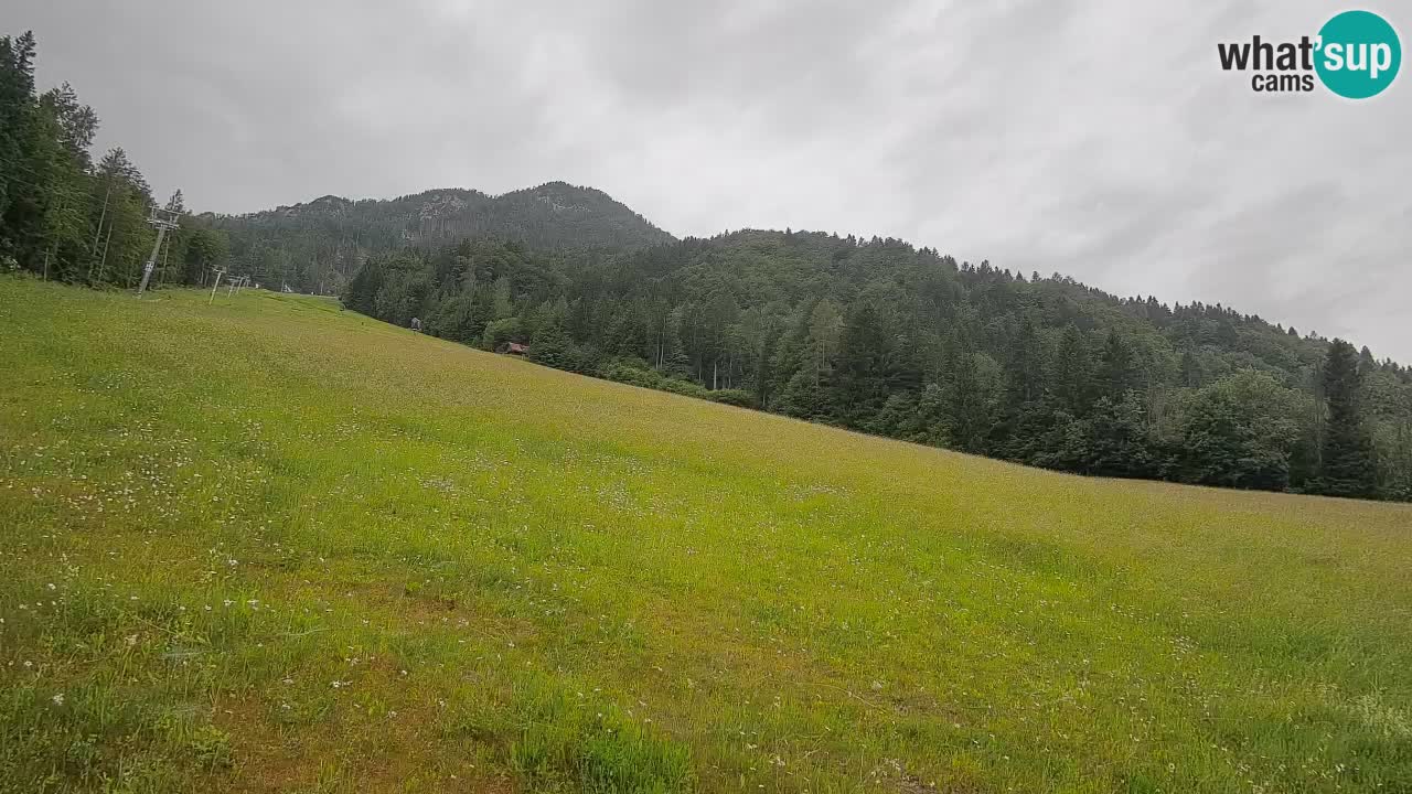 RTC Skigebiet Kranjska Gora | Brsnina
