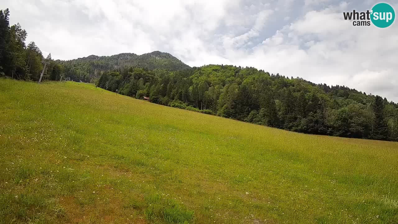 Comprensorio sciistico Kranjska Gora | Brsnina