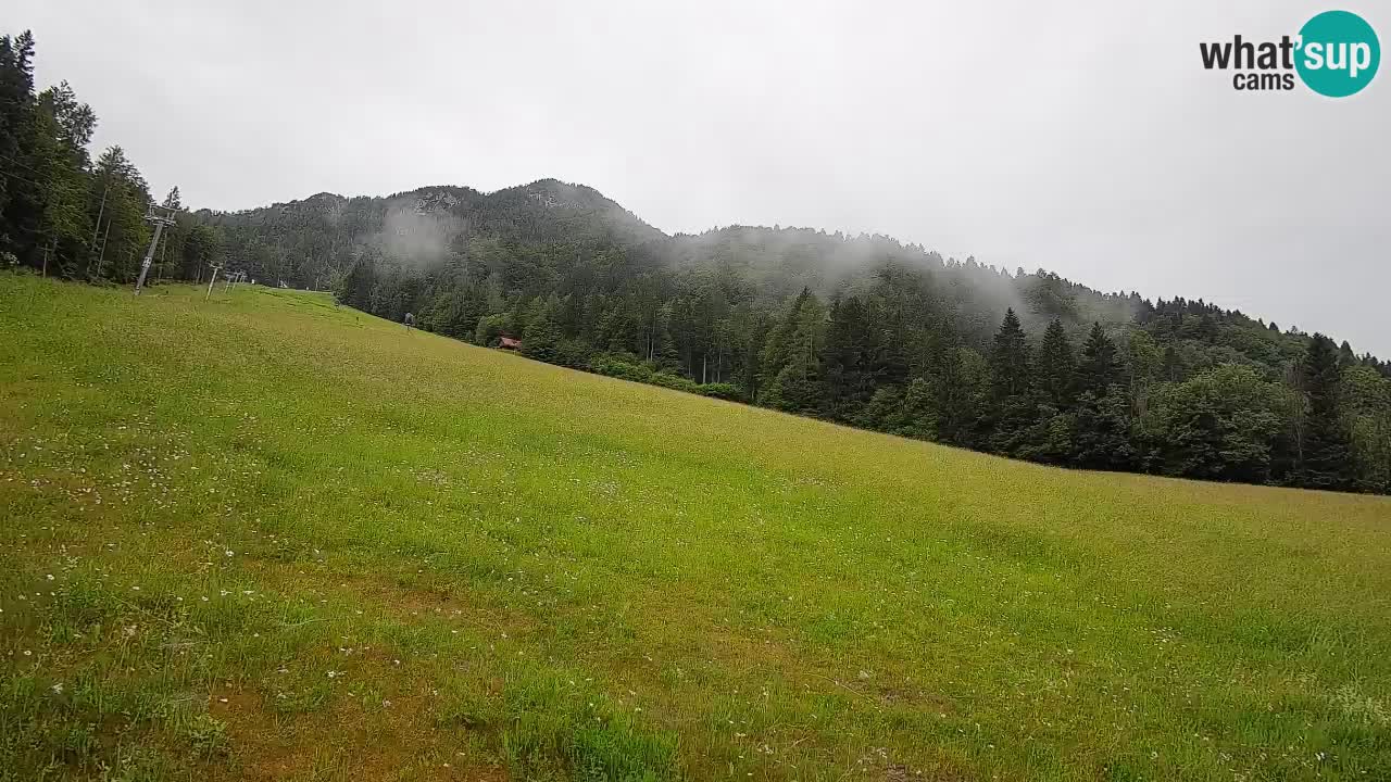 Comprensorio sciistico Kranjska Gora | Brsnina