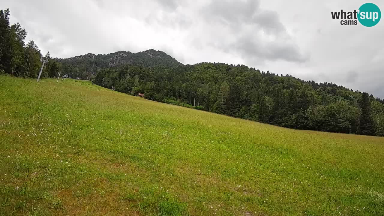 RTC Kranjska Gora | Brsnina