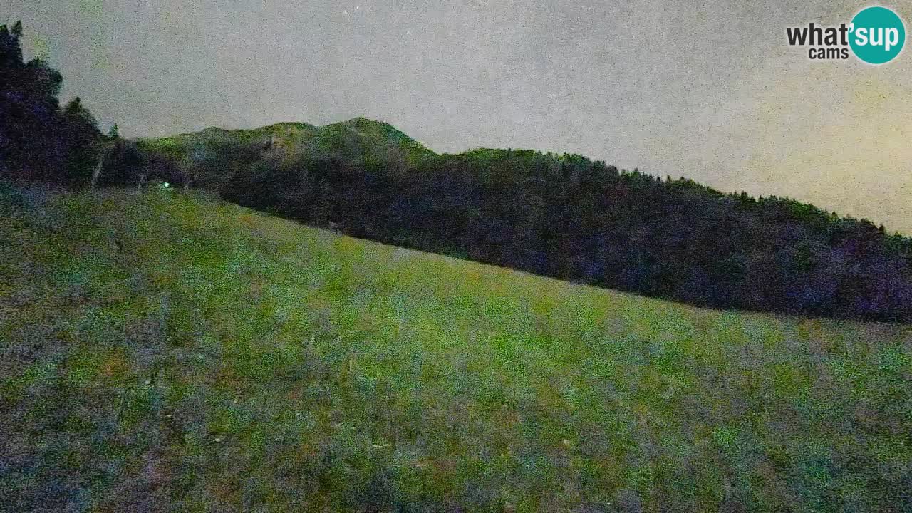 RTC Kranjska Gora | Brsnina