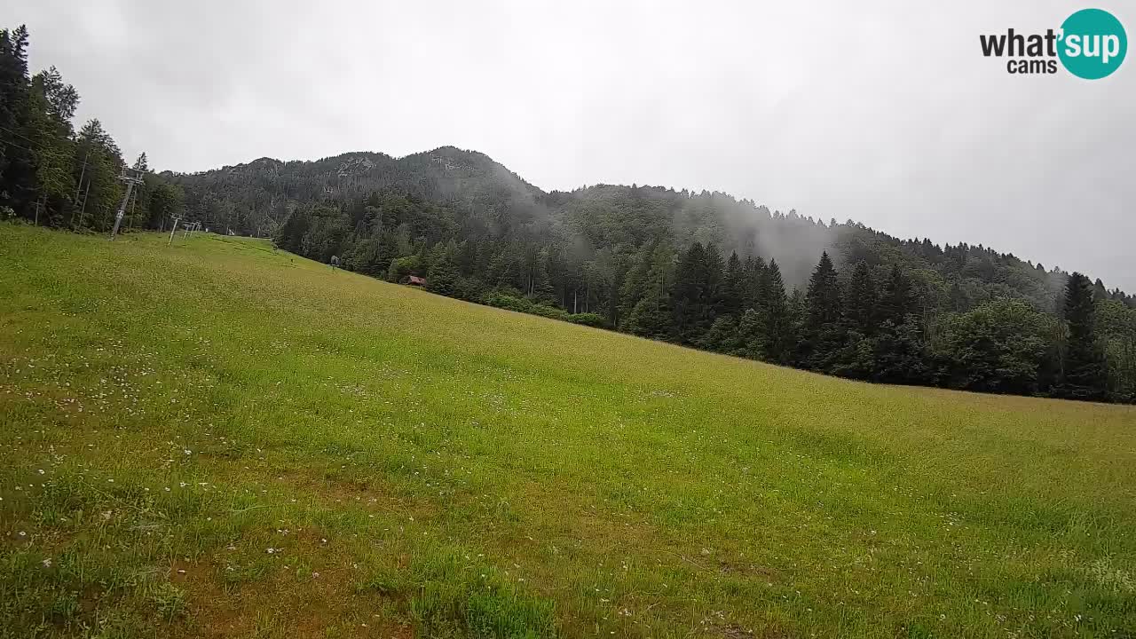 RTC Skigebiet Kranjska Gora | Brsnina