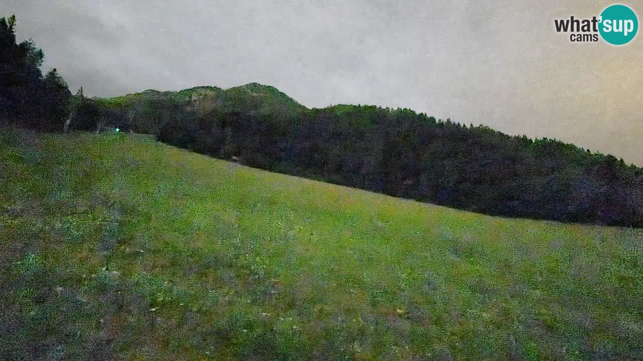 Comprensorio sciistico Kranjska Gora | Brsnina
