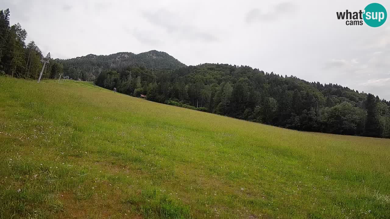 Esquí Kranjska Gora | Brsnina