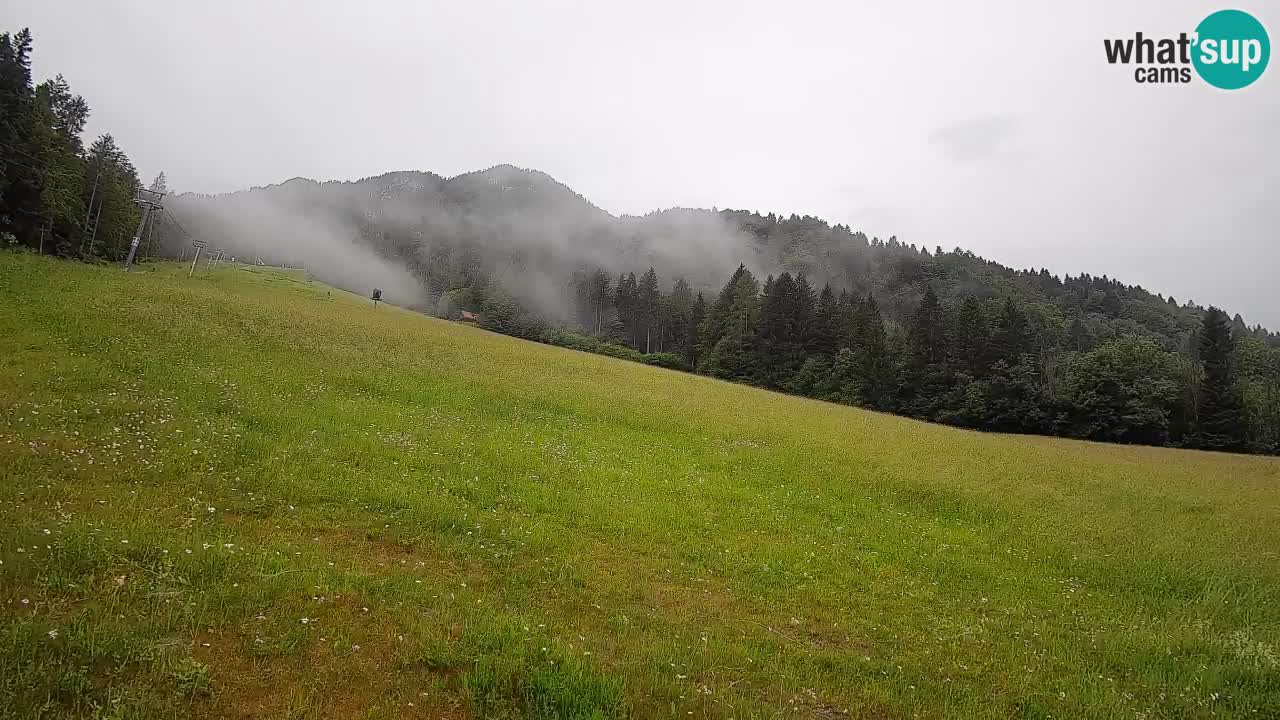 Kranjska Gora Station de ski | Brsnina