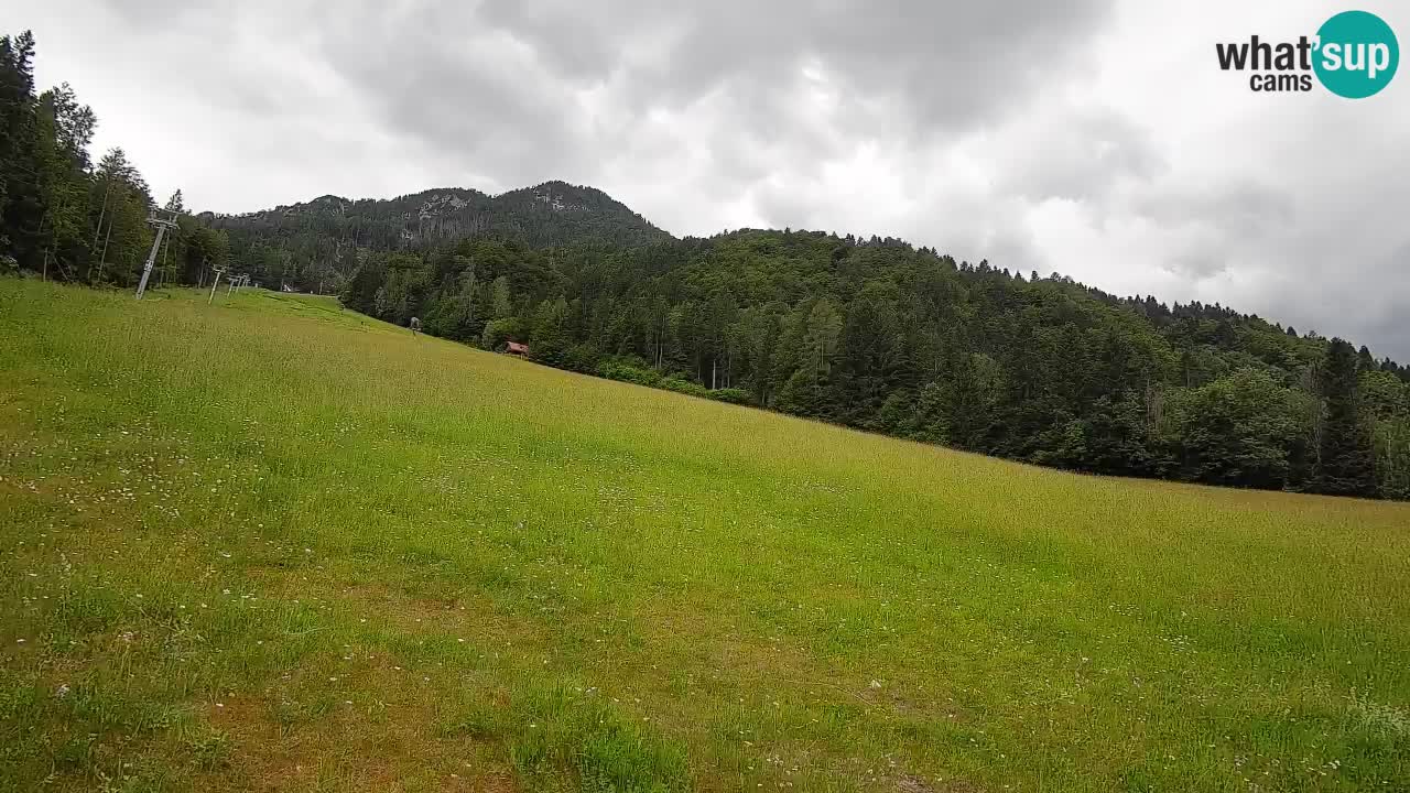 Kranjska Gora Station de ski | Brsnina