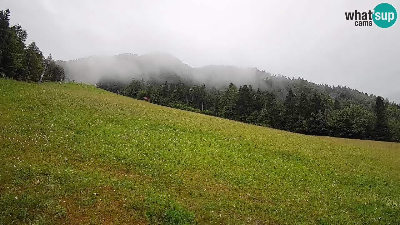 RTC Skigebiet Kranjska Gora | Brsnina