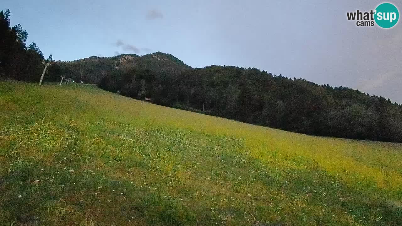 RTC Skigebiet Kranjska Gora | Brsnina