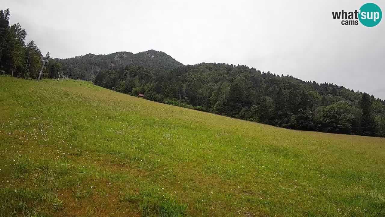 RTC Skigebiet Kranjska Gora | Brsnina