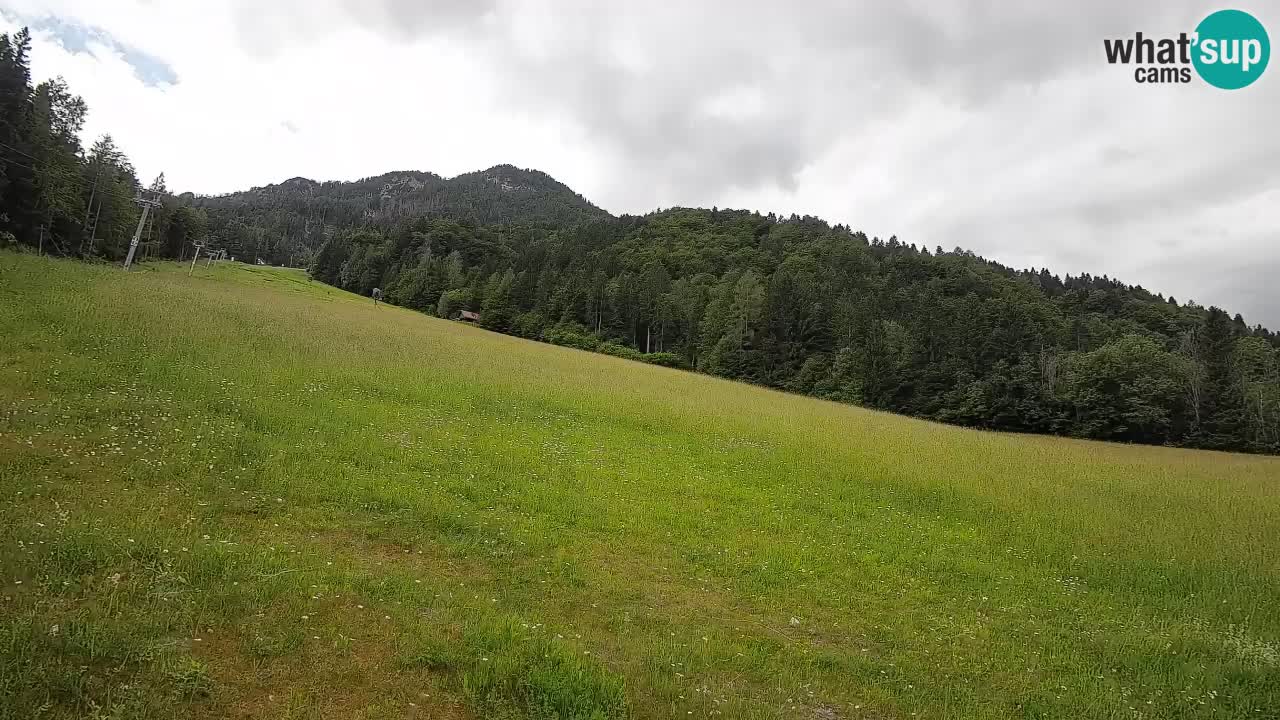 Kranjska Gora SKIJANJE | Brsnina