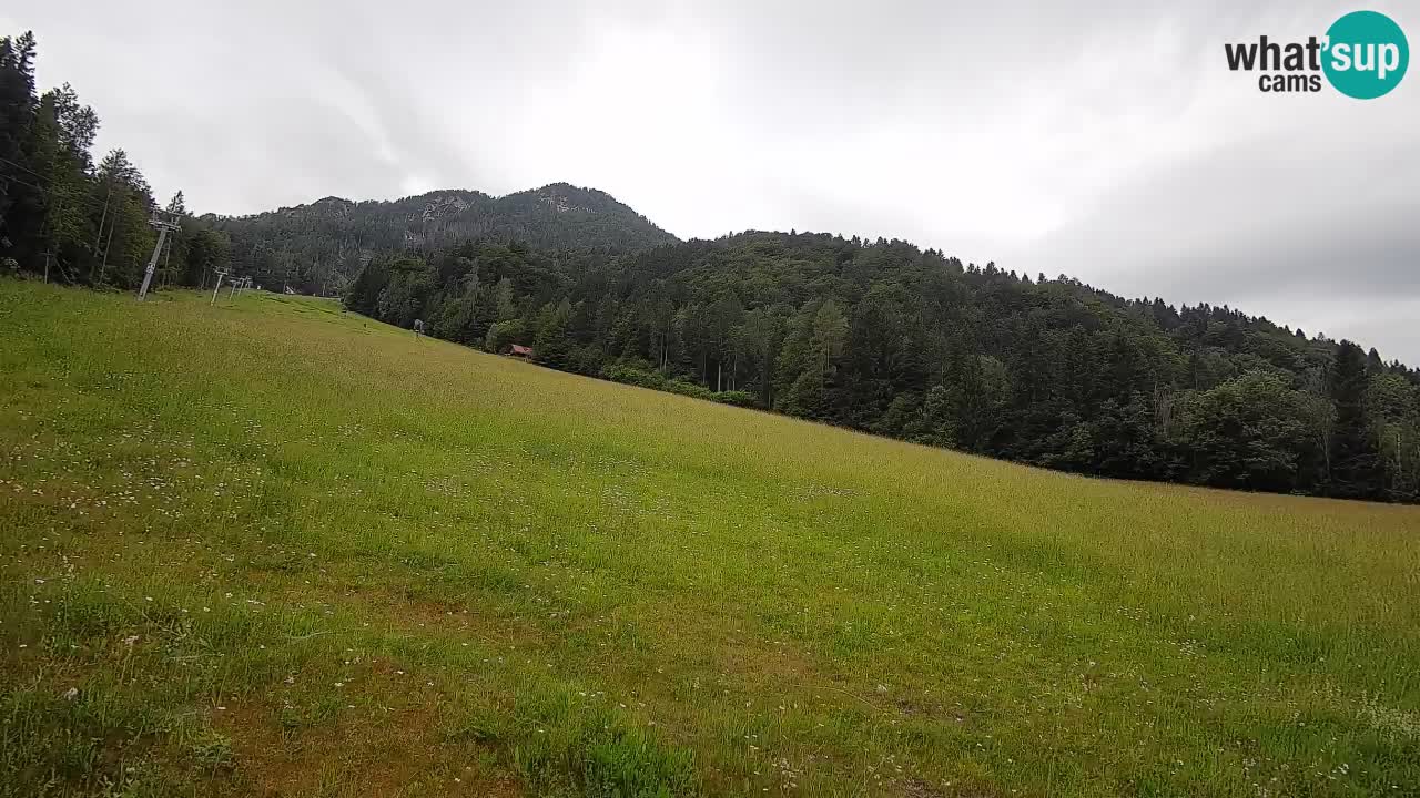 Kranjska Gora SKIJANJE | Brsnina
