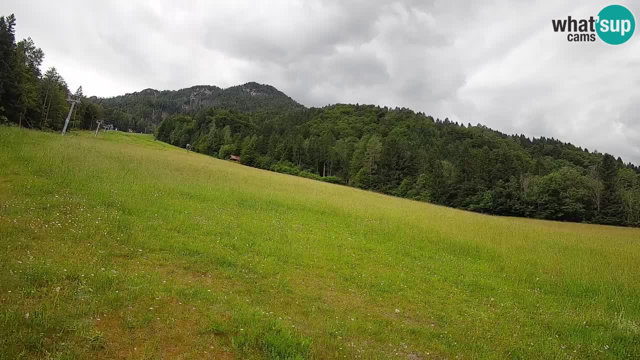 Esquí Kranjska Gora | Brsnina